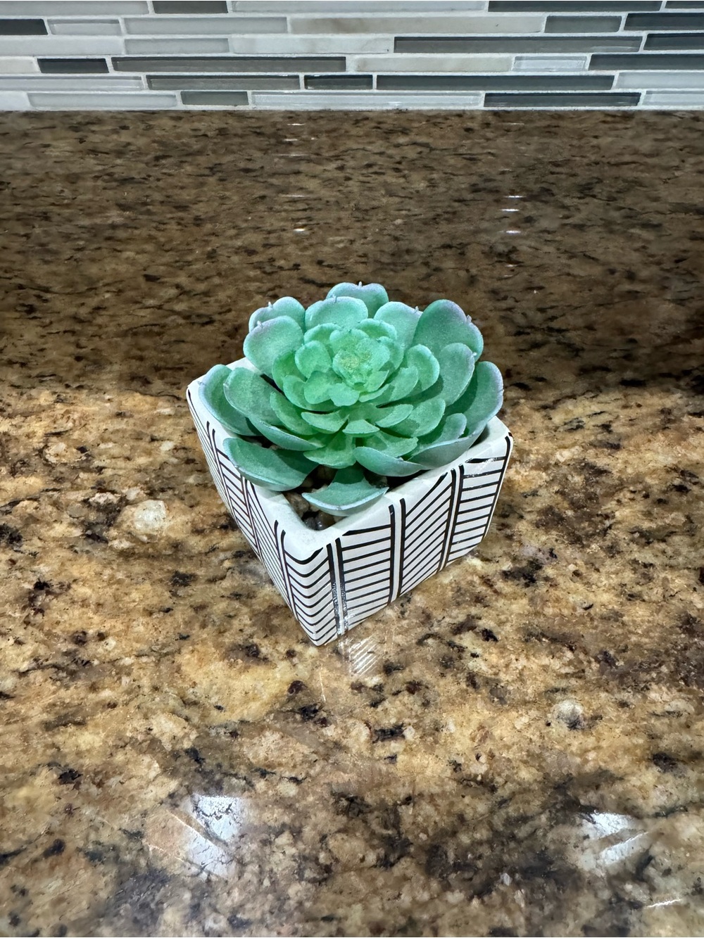 Artificial Green Succulent in Patterned Ceramic Planter - Home Accents